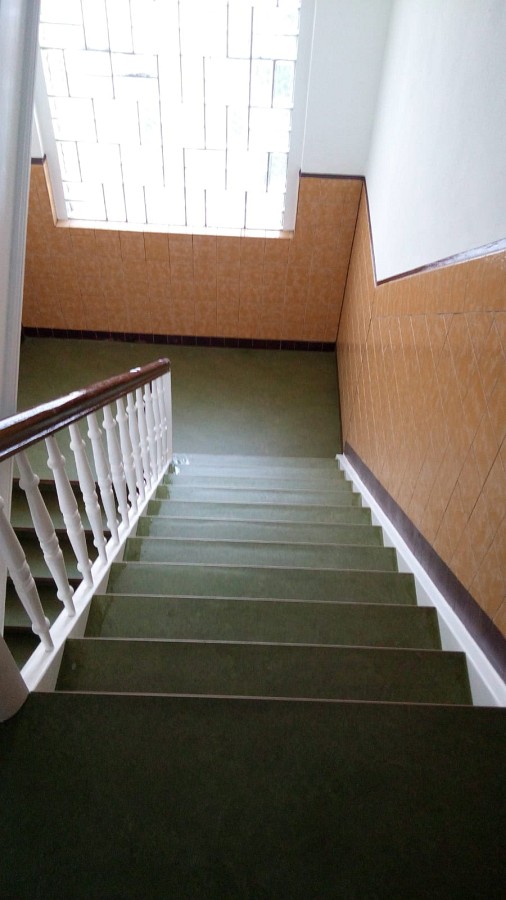 PVC–Belag aus den 60er Jahren fachmännisch entfernt und durch ökologischen Linoleumbelag ersetzt.