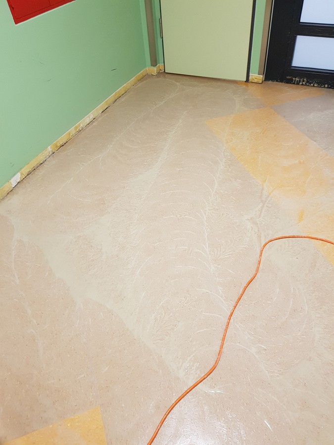 Entfernung alter Bodenbeläge im gewerblichen Bereich