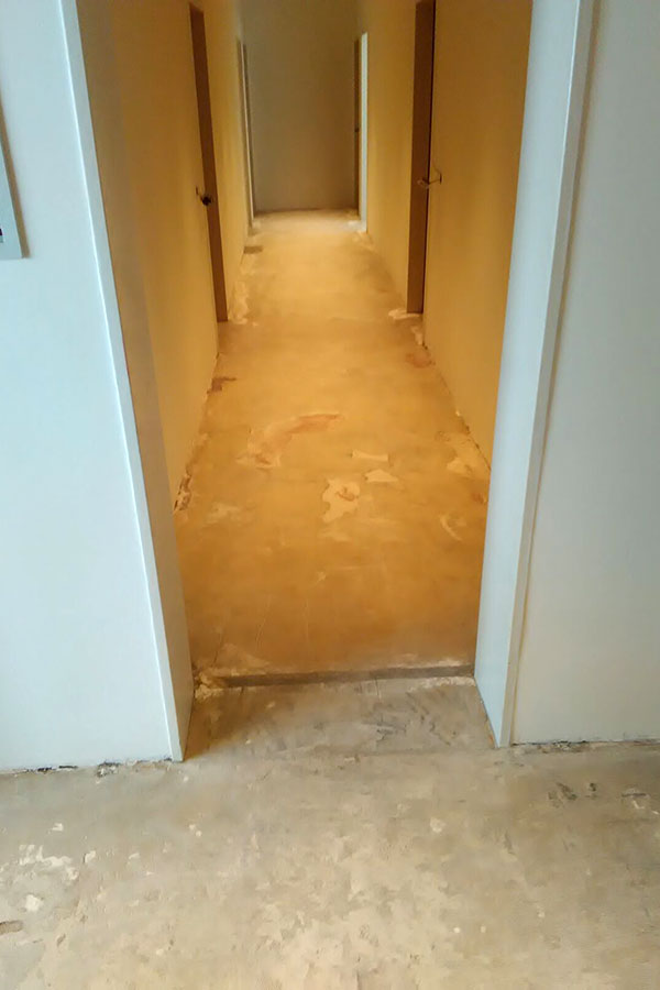 Komplette Wohnraum-Modernisierung: 150m² Designboden in Holzoptik inklusive Dekorfußleisten-bild-02